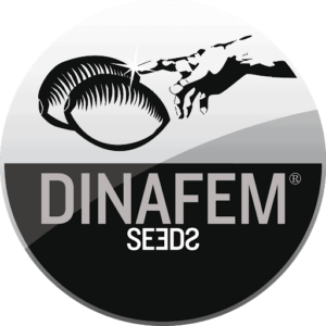 DINAFEM