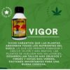 VIGOR 125ML -  CANNA CONSULTING