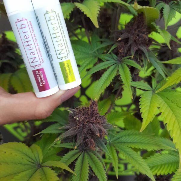 Lipstick CBD 5gr Natural