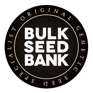 Bulk-Seed-Bank-SquareLarge